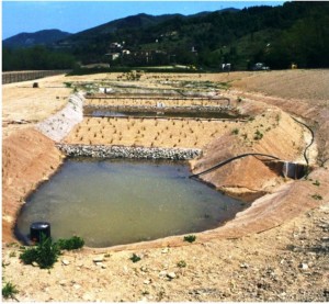depuratore (2)