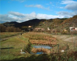 depuratore (4)